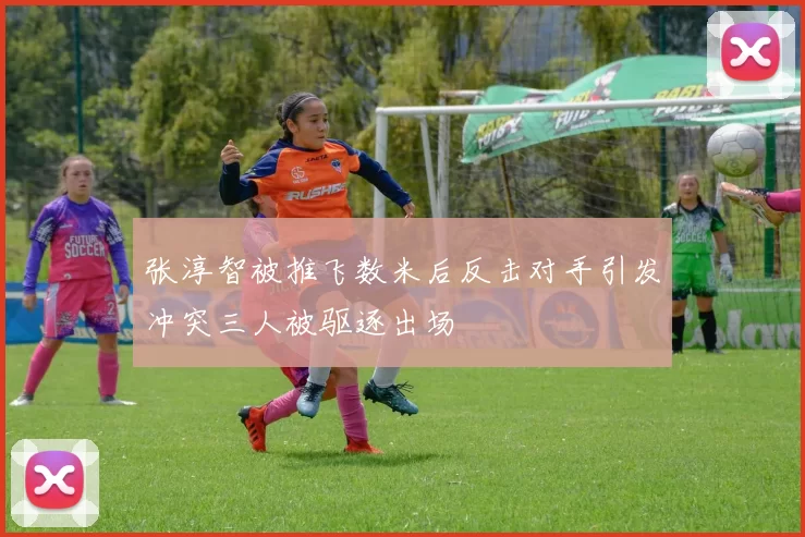 张淳智被推飞数米后反击对手引发冲突三人被驱逐出场