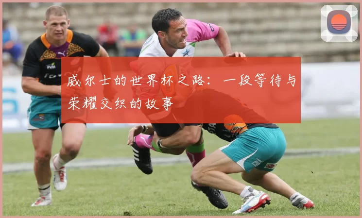 威尔士的世界杯之路：一段等待与荣耀交织的故事