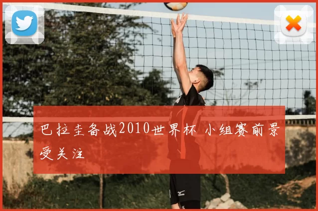 巴拉圭备战2010世界杯 小组赛前景受关注