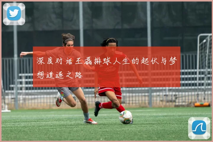 深度对话王磊排球人生的起伏与梦想追逐之路