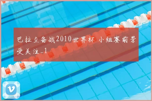 巴拉圭备战2010世界杯 小组赛前景受关注_1