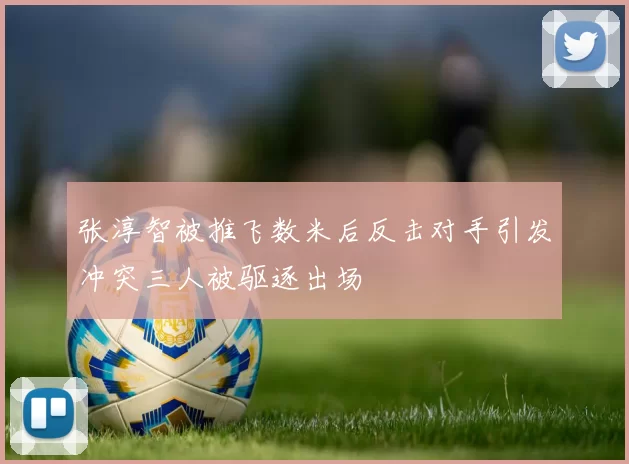 张淳智被推飞数米后反击对手引发冲突三人被驱逐出场