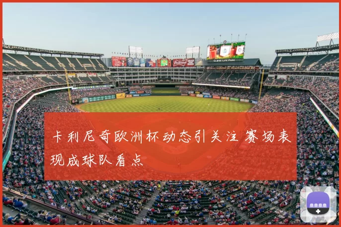 卡利尼奇欧洲杯动态引关注 赛场表现成球队看点