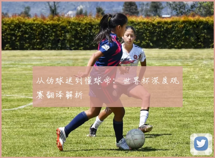 从伪球迷到懂球帝：世界杯深度观赛翻译解析
