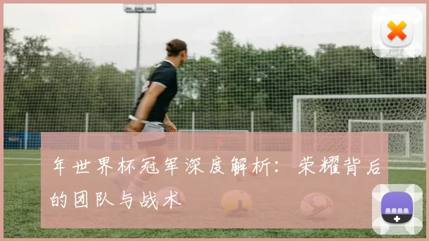年世界杯冠军深度解析：荣耀背后的团队与战术