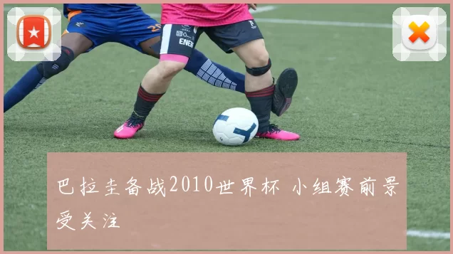 巴拉圭备战2010世界杯 小组赛前景受关注