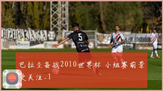 巴拉圭备战2010世界杯 小组赛前景受关注_1