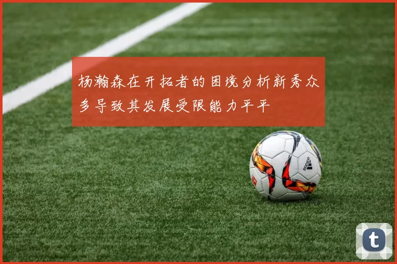 杨瀚森在开拓者的困境分析新秀众多导致其发展受限能力平平