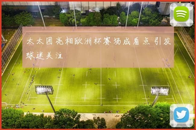 太太团亮相欧洲杯赛场成看点 引发球迷关注