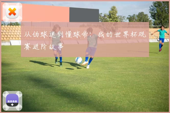 从伪球迷到懂球帝：我的世界杯观赛进阶故事