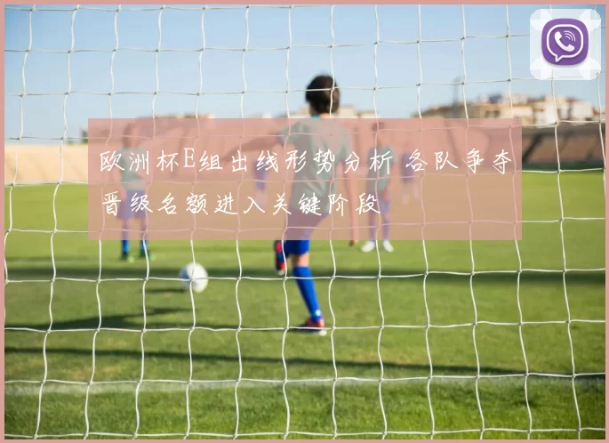 欧洲杯E组出线形势分析 各队争夺晋级名额进入关键阶段