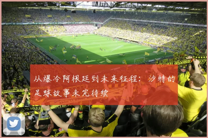 从爆冷阿根廷到未来征程：沙特的足球故事未完待续