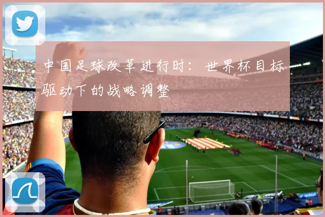 中国足球改革进行时：世界杯目标驱动下的战略调整