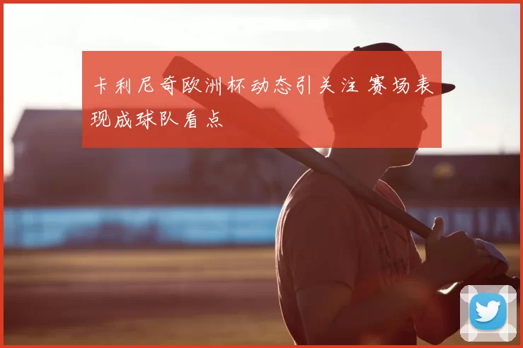 卡利尼奇欧洲杯动态引关注 赛场表现成球队看点