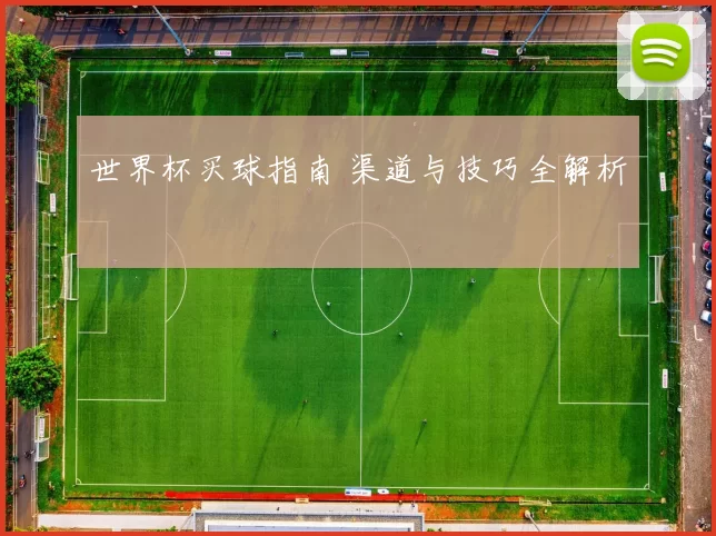 世界杯买球指南 渠道与技巧全解析